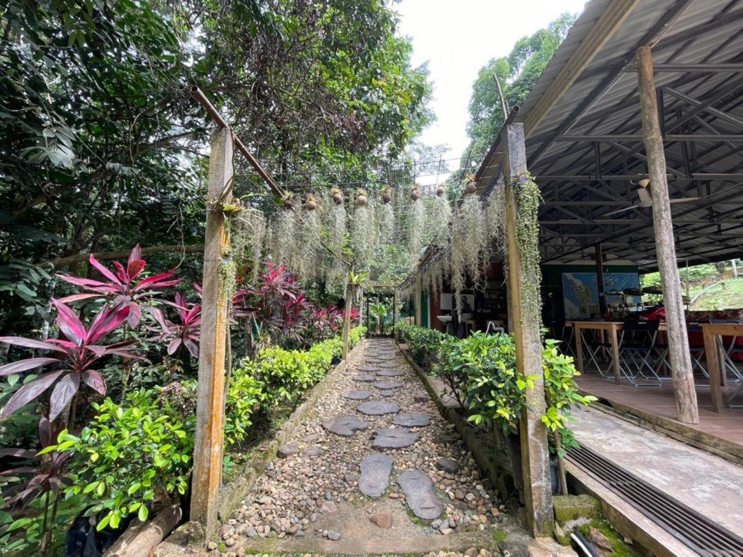 Danz Eco Resort Kuala Tahan Exterior foto